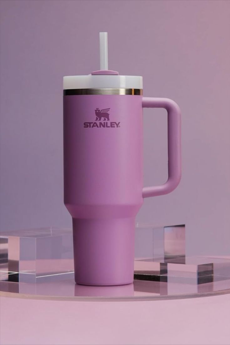 Stanley 40 oz Stainless Steel H2.0 Tumbler & Straw Cap